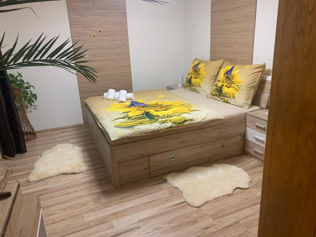 Apartman Slunecnice S Terasou Ceske Budejovice Buitenkant foto