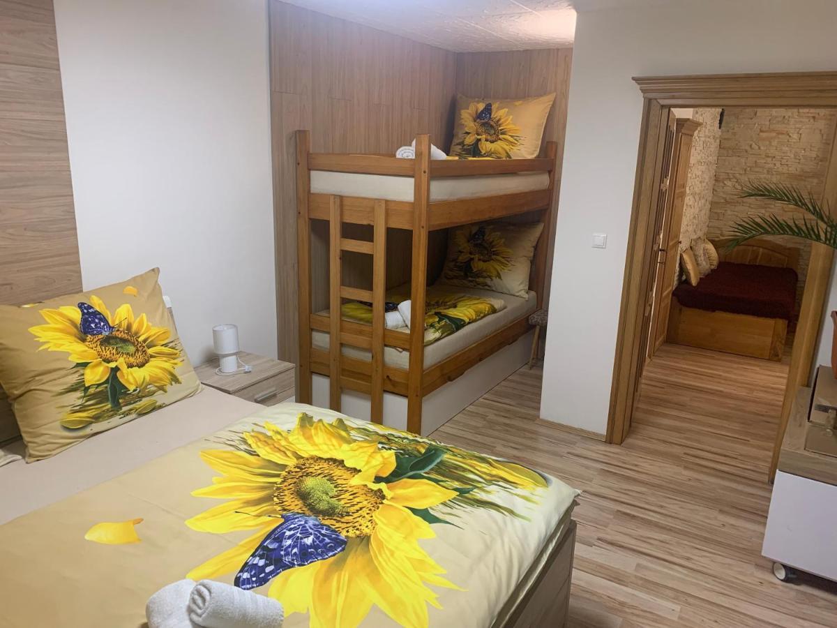 Apartman Slunecnice S Terasou Ceske Budejovice Buitenkant foto