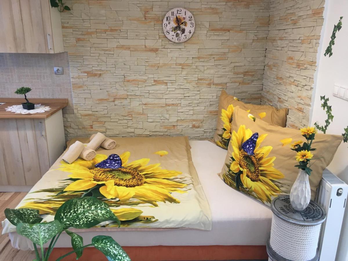 Apartman Slunecnice S Terasou Ceske Budejovice Buitenkant foto